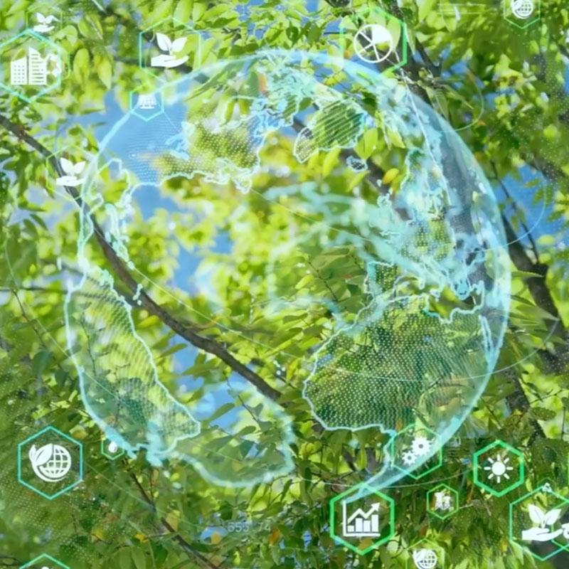 world environmental